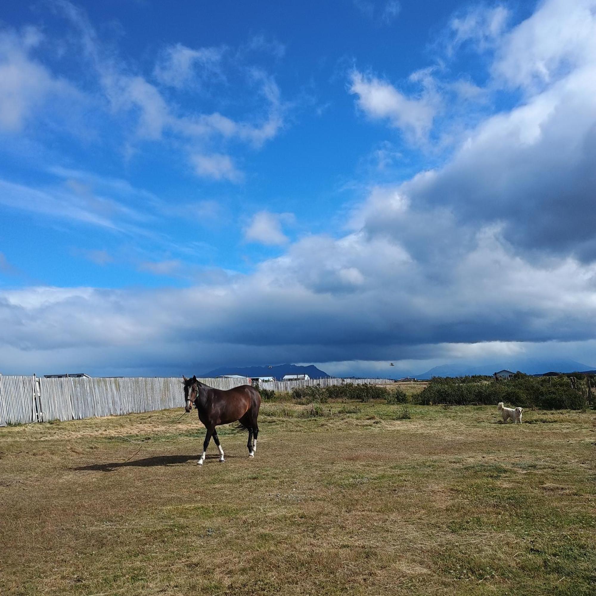 Apartament Tyni House Puerto Natales Zewnętrze zdjęcie