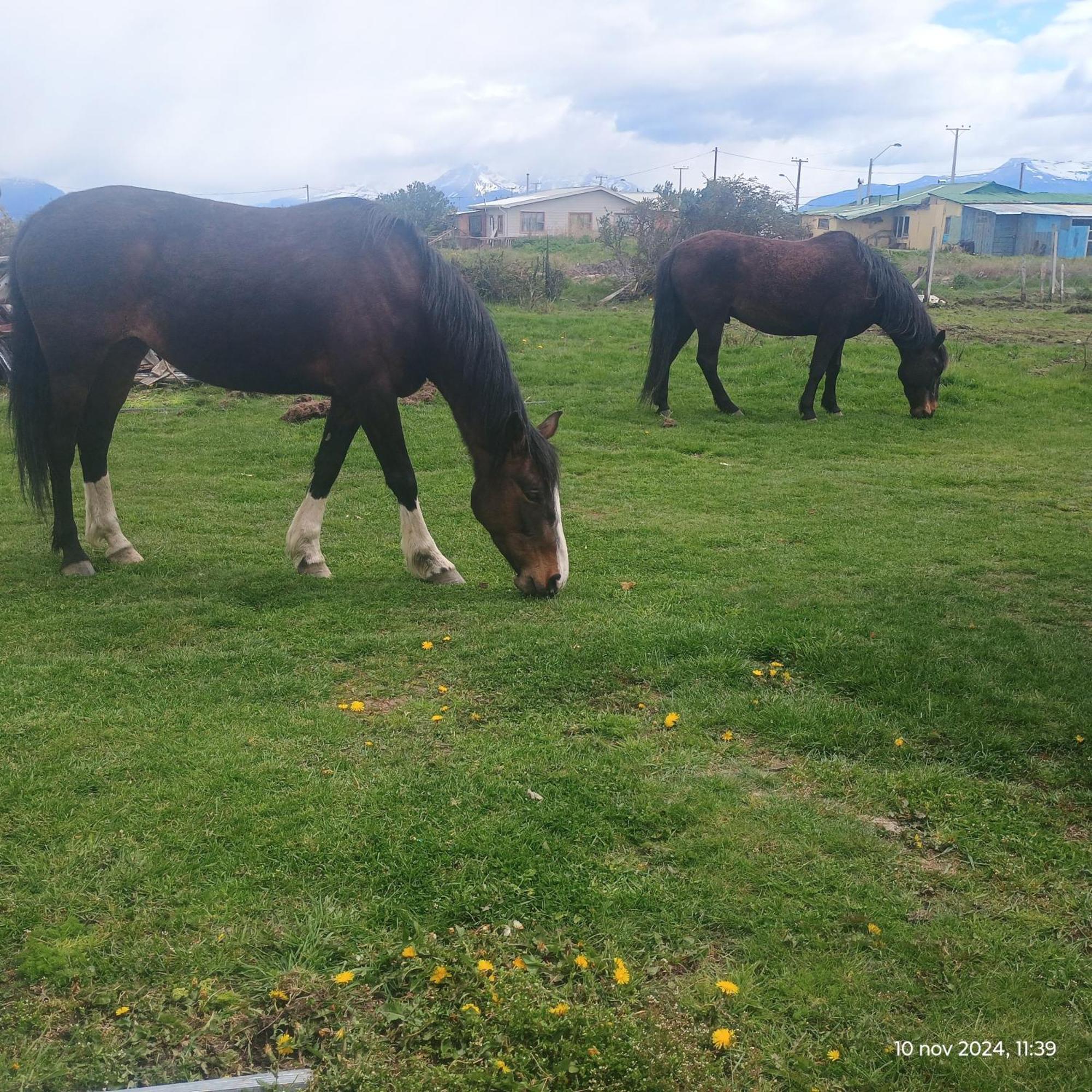 Apartament Tyni House Puerto Natales Zewnętrze zdjęcie